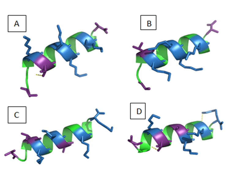 Modelo 3D de péptidos antimicrobianos derivados de Dermaseptina S4