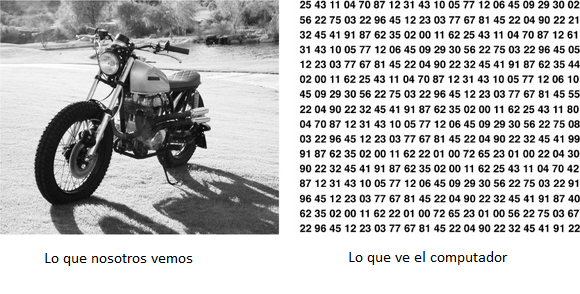 Moto en el computador